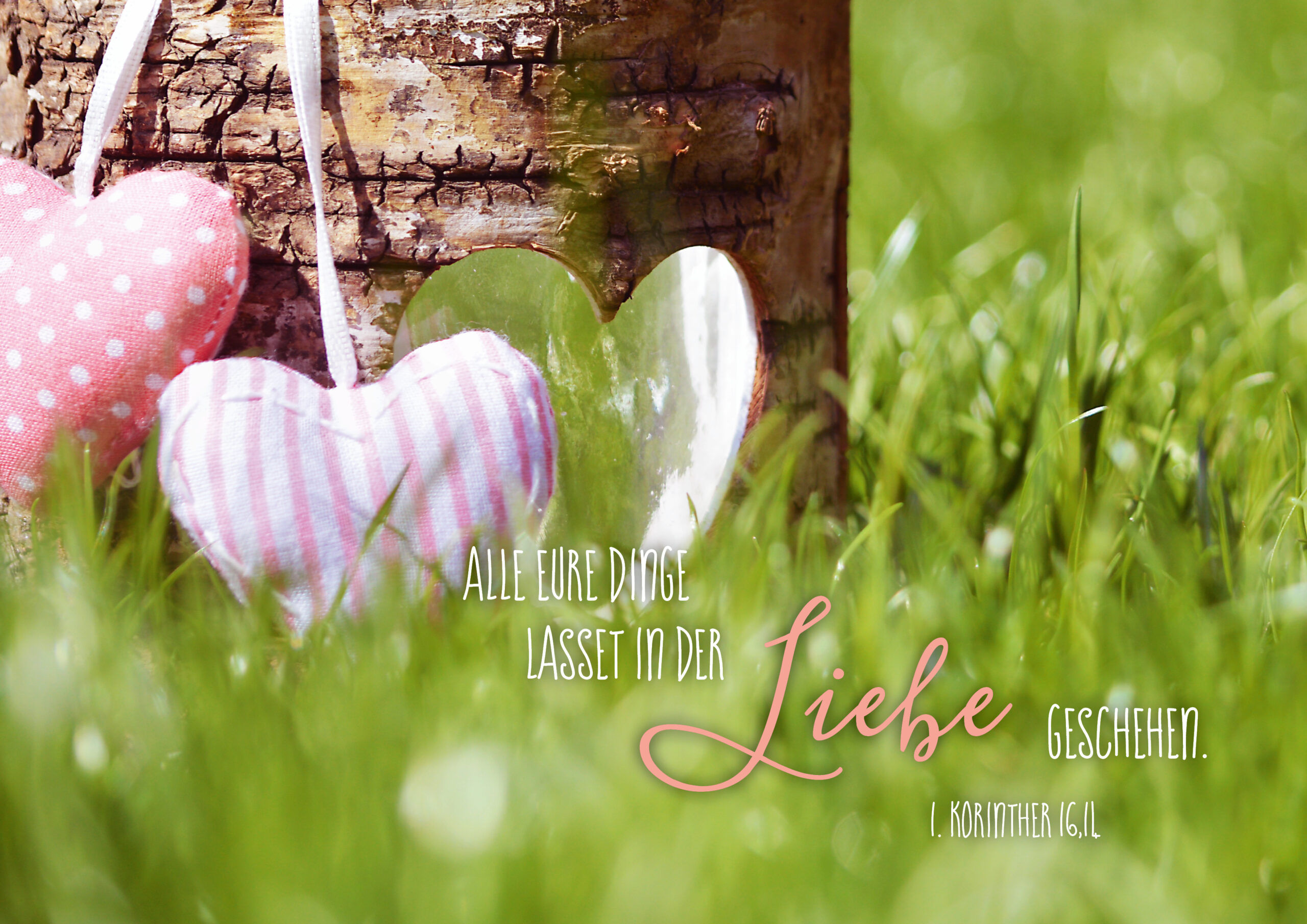 Alle