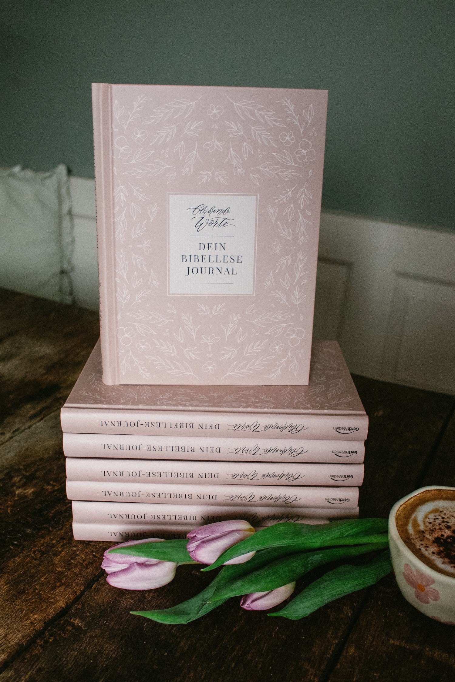 Buchcover: Bibellesejournal